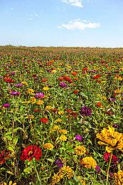 《龙珠Z：卡卡罗特》第五弹DLC新增地面战预告